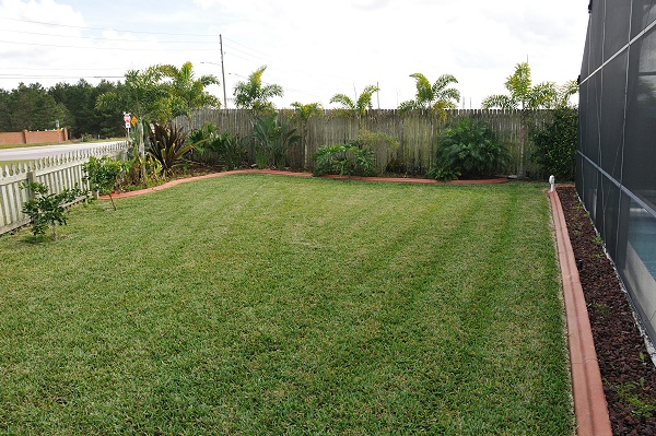 Large Fenced-in Back Yard